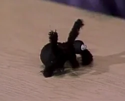 SpiderSesame Street Episode 1734