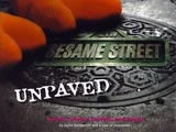Sesame Street Unpaved (book)