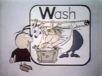 W-Wash