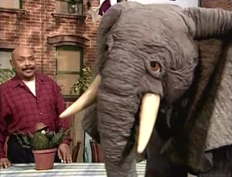 elephant in Episode 3971