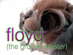 Muppetism Floyd groove master