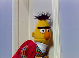 Bert