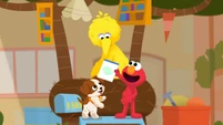Elmo & Tango Mystery: Lost Egg