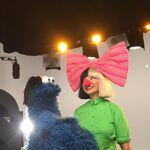 Sia with Cookie Monster