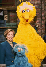 Hillary Clinton Rosita Big Bird