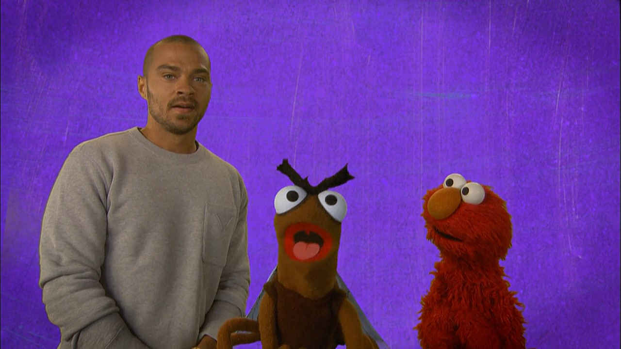Episode 4409 Muppet Wiki Fandom