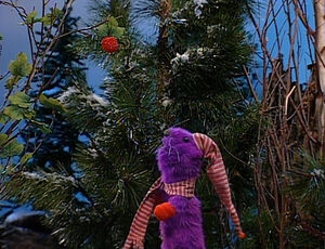 Bearxmas2-11.jpg