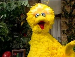 Bigbirdgroverintro