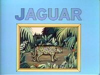 Jaguarpuzzle