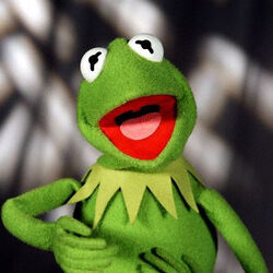 Category The Muppets Characters Muppet Wiki Fandom