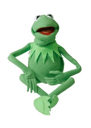 kermit the frog my face when