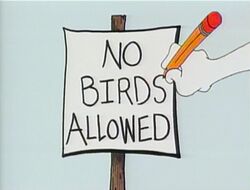 NoBirdsAllowed