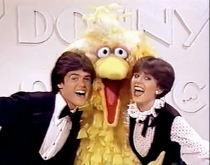Osmonds&Bird
