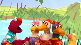 "Elmo's Ducks" (First: Episode 4180)