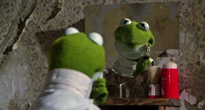 Kermit shaves