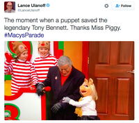 Piggy saves tony.jpg (123 KB)