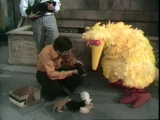 Live animals on Sesame Street