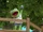 Episode 310: Kermit and Fozzie's Eggcellent Adventure / Animal and the Little Accident