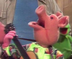 pig in episode 223