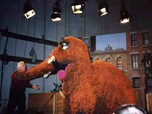Mr. Snuffleupagus eating the grandson of cameraman Frankie Biondo.