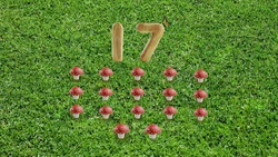 17 mushrooms (First: Episode 4303)