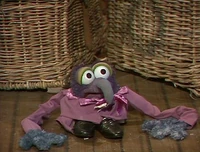 GonzoThe Muppet Show episode 324