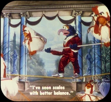 A7 Gonzo walks a tightrope.