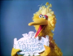 BigBird355