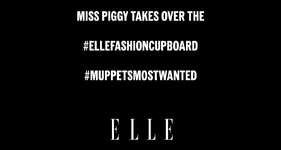 March 24-28, 2014Miss Piggy takes over #ELLEfashioncupboard