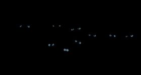 MTI-Eyes.jpg (4 KB) Smollett, Rizzo, Gonzo, and pigsMuppet Treasure Island