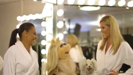 Piggy dressing room AGT 2014.jpg (60 KB) America's Got Talent (2014)