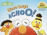 Elmo Says Achoo!