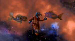 MFS-Gonzo-and-CosmicFish.jpg
