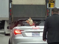 TheMuppets-WorldPremiere-ElCapitan-(2011-11-12)-05.jpg (1.85 MB)