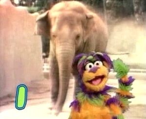 Tingo in front of an elephant.