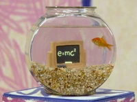 Elmo's World: School