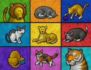 Ewcats-dvdcard.jpg
