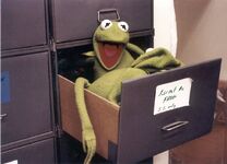 Kermit in drawer