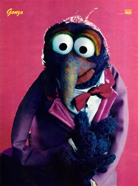 Pop-Rocky-GonzoPoster(20percent).jpg (1.64 MB) Gonzo 1980 size DIN A2