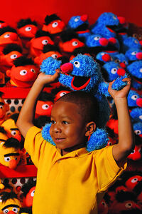 Sesame Place Plush 1