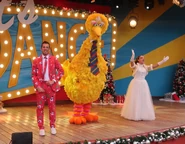 Welcome Big Bird 2019