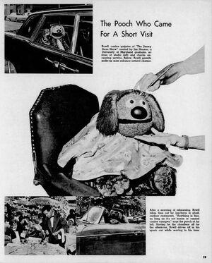Baltimore Sun Aug 16 1964.jpg