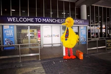 Big Bird, on his way to the Furchester Hotel