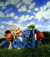 MayFozzie, Piggy, Kermit Gonzo and Animal as a models for Hike (Nike)