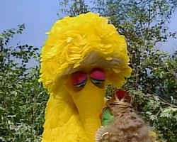 Big Bird & a princessSesame Street Episode 3513