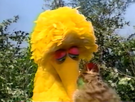 Big Bird & a princessSesame Street Episode 3513