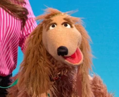 dog in Word of the Day: Veterinarian