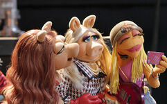 The-muppets-abc-gallery-1