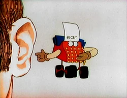 The Typewriter: E - Ear (First: Episode 0807)