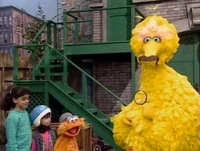 Big Bird Episode 3378